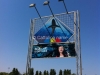 acquario-cattolica-le-navi