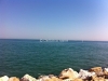 mare-cattolica